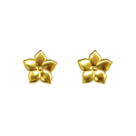 Brinco Flor Cinco Pétalas 2,3cm Banhado a Ouro e Ródio