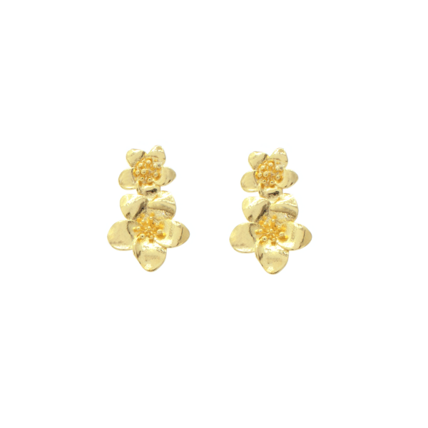 Brinco Estilo Ear Cuff De Flores Banhado A Ouro