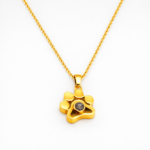 Colar Feminino em Aço Inox Personalizado Pet Projeção com PVD Dourado e Prata